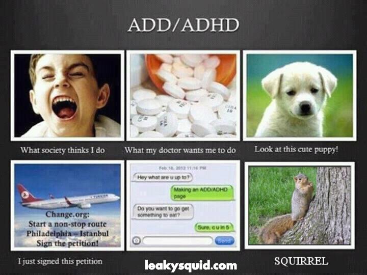 add adults doctors michigan add adults doctors michigan